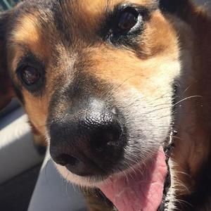 Meet your Posher, Eileen